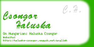 csongor haluska business card